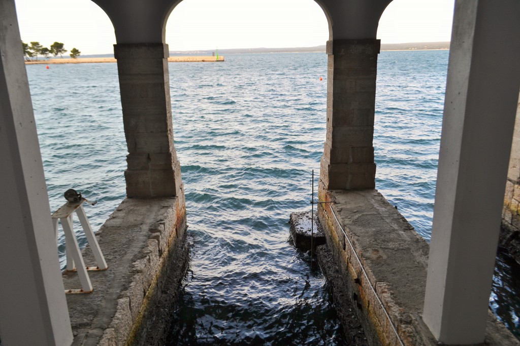 DSC_8171 (2)